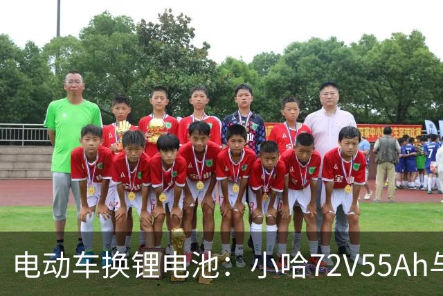 电动车换锂电池：小哈72V55Ah与比亚迪76V45Ah，谁是性价比之王？